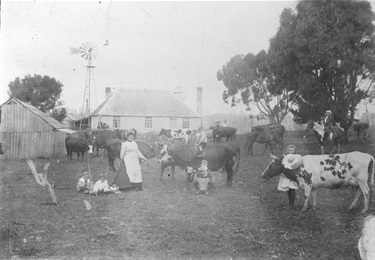 Family life on farm mother children and cows