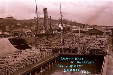 Potatoes on the port ready for shipment