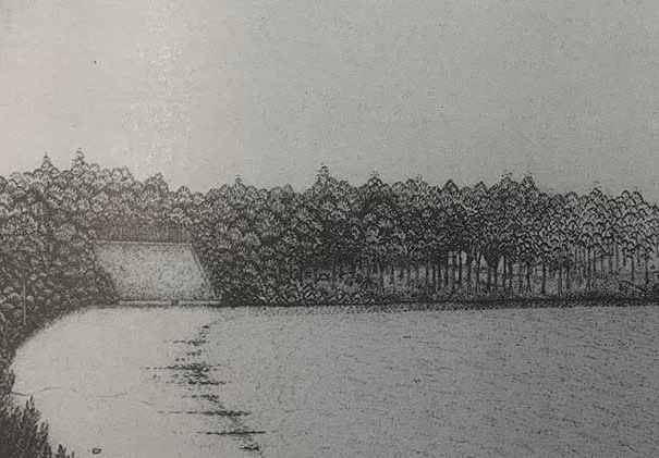 BCC Cafe-Glass-doors Emu Tracks.jpeg