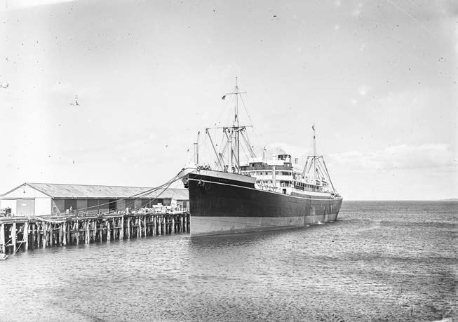 BCC Cafe-Glass-doors Waves.jpeg