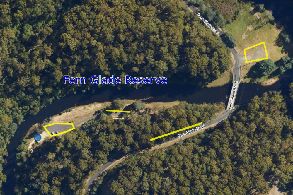 Fern Glade Reserve Bat Night 091025.png
