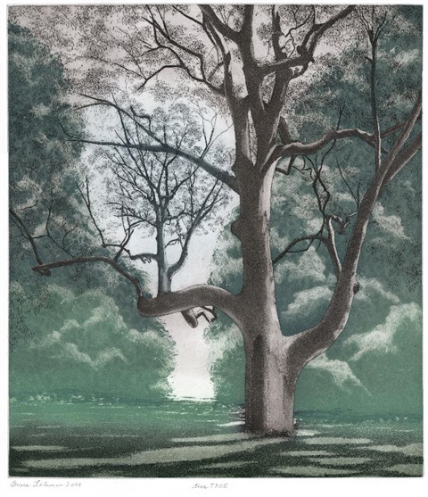 tree TREE 2008 ed 20 50x44cm.jpg