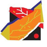 BCAG LOGO.jpeg