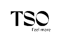 TSO Logo new.png