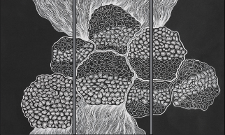 Bay 2 Liz Tew Payawina – Low Tide.jpg