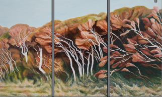 Bay 7 Janice Ross Laraturunawn - Sundown Point - Dual Naming Gazetted 2016.jpg