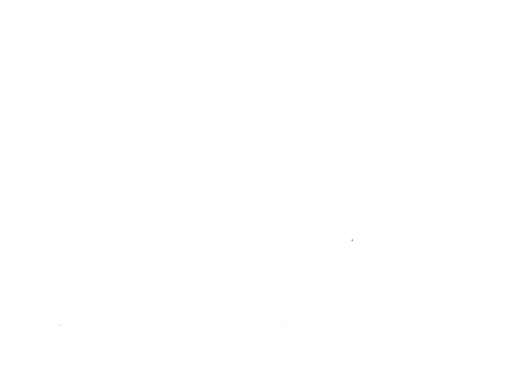 burnie-city-council-mono-reversed.png